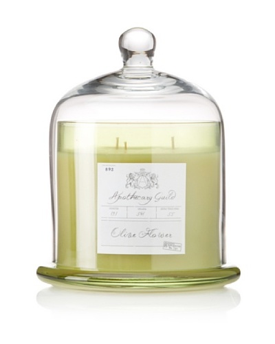 Apothecary Guild Candle Jar with Glass Dome, Olive Flower, Large