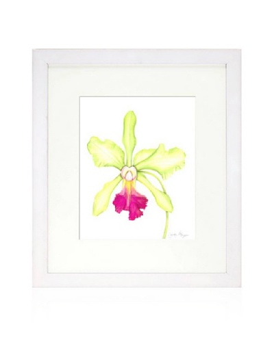 Orchid Beauty III, White/White
