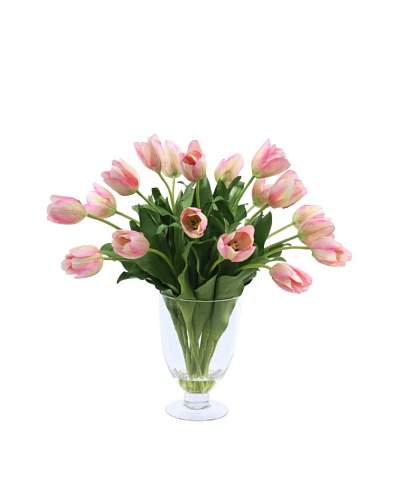 Tulip in Glass Vase, Pink