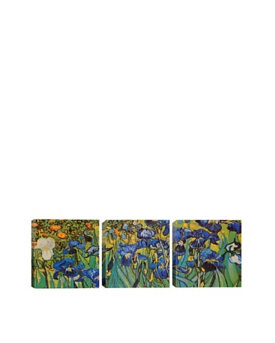 Irises by Vincent Van Gogh (Panoramic)