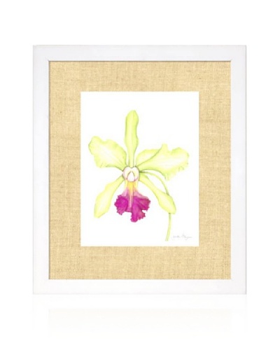 Orchid Beauty III, White/Bamboo