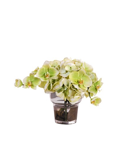10 Hydrangea/Phalaenopsis in Glass Vase