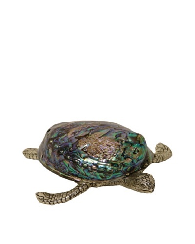 Silver Pearl Shell Turtle