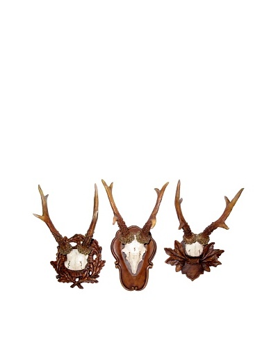 3-Piece Deer Antlers Wall Plaque Set