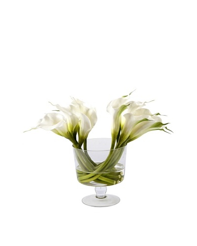 Calla Lily in Glass Vase, White