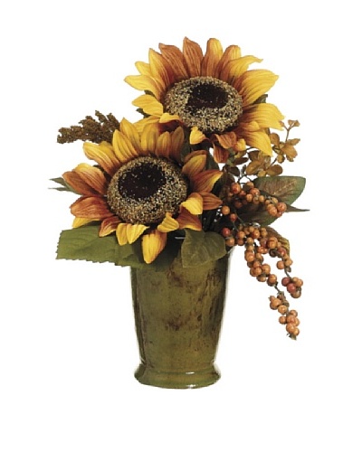 Sunflower and Berry in Terra Cotta Pot