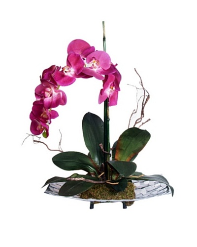 Fuschia Orchid Tray [Fuschia/Green]
