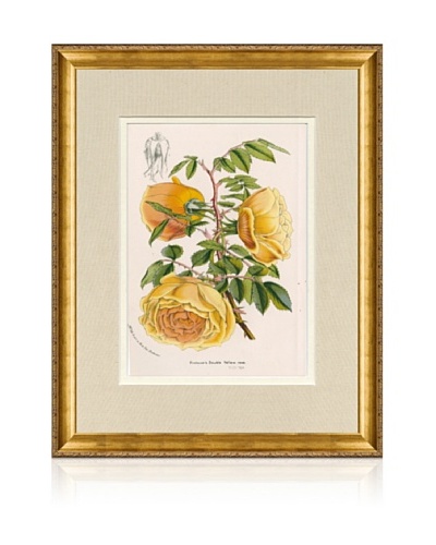 1873 Antique Botanical Print VIII, Ornate Gold