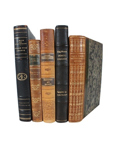 Set of 5 Decorative Leather Books, Multi