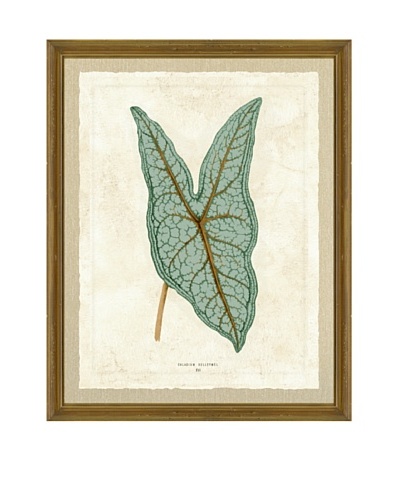 Green Plant Giclée Print I