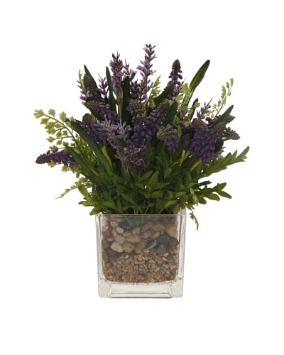 Muscari Lavender in Glass Vase