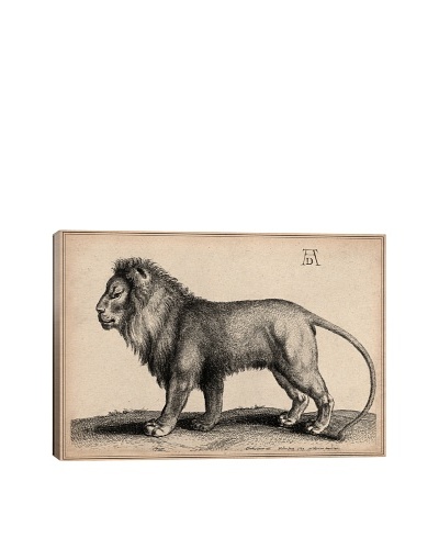 A Lion Standing by Wenceslaus Hollar Giclée on Canvas