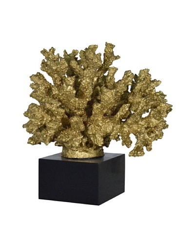 Gold Branch Coral on Black Base