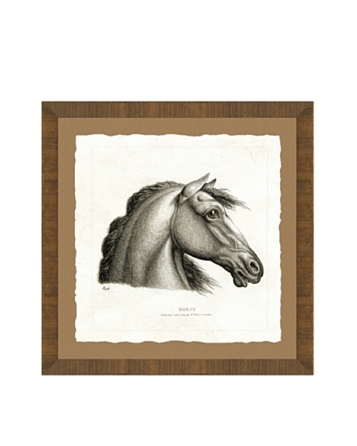 Horse Head Giclée Print I