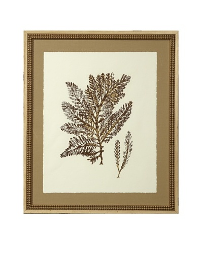 Gold Leaf Sea Fan Print with Rustic Beaded Wood Frame, Gold/Cream, 26 x 22