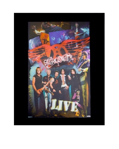 Aerosmith Live Framed 3-D Hologram Poster