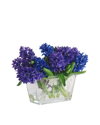 Hyacinth in Glass Vase, Blue/Purple