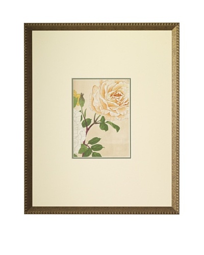 1918 Botanical Japanese Woodblock Roses