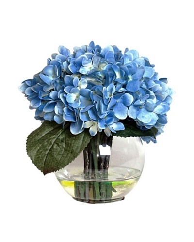 Blue Hydrangea In Water