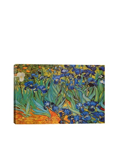 Vincent Van Gogh's Irises Giclée Canvas Print
