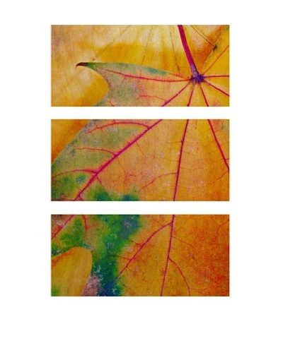 Autumn Color, Triptych