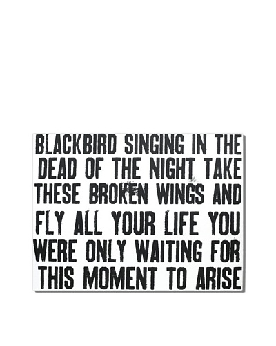 Blackbird, 18 x 24