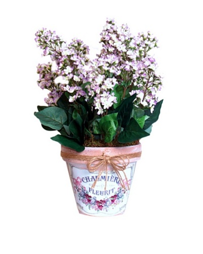 Lilacs In Clay Pot [Lavender/Green]