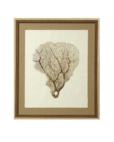 Gold Leaf Sea Fan Print with Rustic Beaded Wood Frame, Gold/Cream, 26″ x 22″As You See