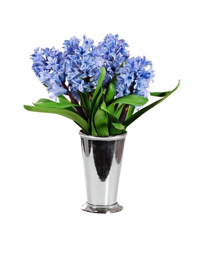15 Hyacinths in Julep Cup