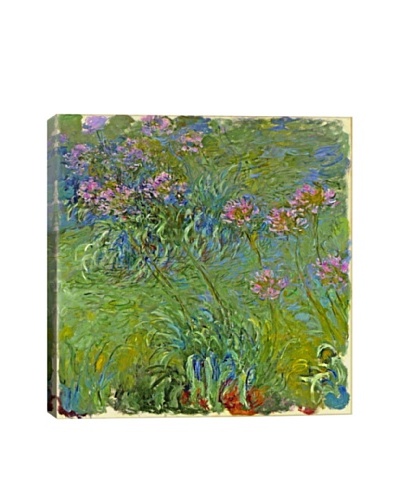 Claude Monet's Agapanthus Flowers Giclée Canvas Print