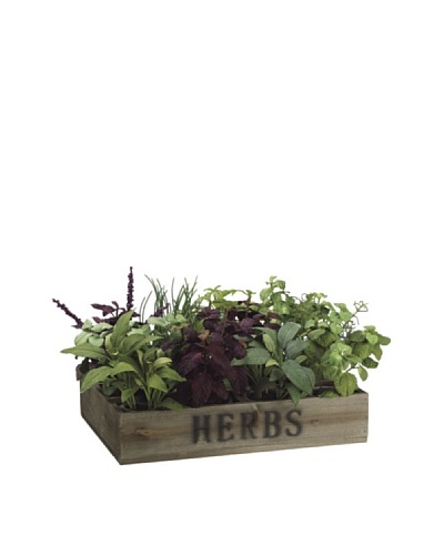 Allstate Floral Herb Garden in Clay Pot & Wood Box