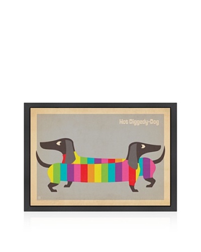 American Flat Mod Rainbow Dogs