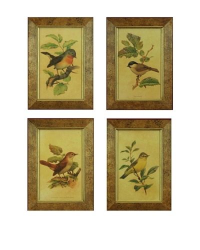 Set of 4 Framed Reproduction Ornithological Prints