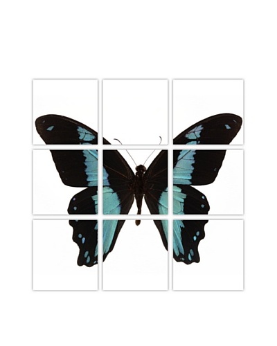 Art Addiction Acrylic Printed Blue Butterfly, Polyptych