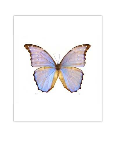 Art Addiction Acrylic Printed Fluorescent Butterfly