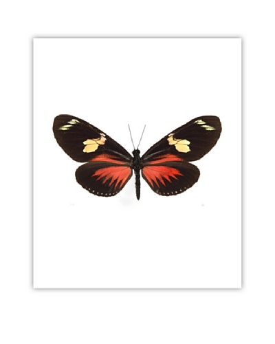 Art Addiction Acrylic Printed Red & Yellow Butterfly