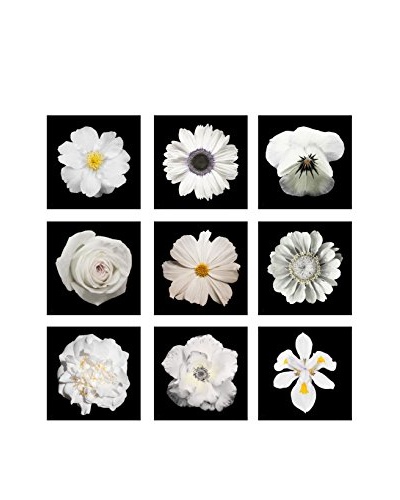 Art Addiction White Flower Collage II Artwork on Acrylic (Set of 9)