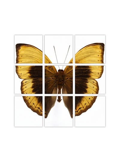 Art Addiction Acrylic Printed Yellow Butterfly, Polyptych
