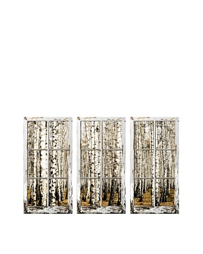 Art Addiction Set of 3 Birch Trees I