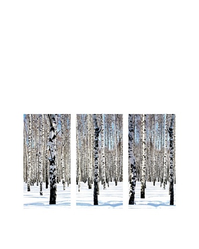 Art Addiction Snowy Birch, Triptych