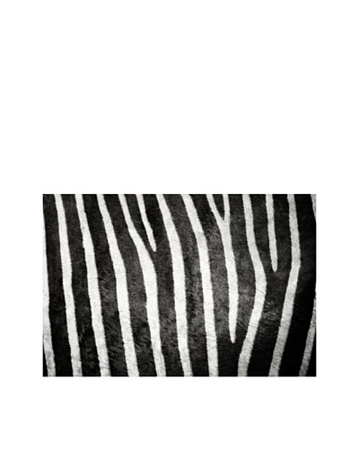 Art Addiction Horizontal Zebra