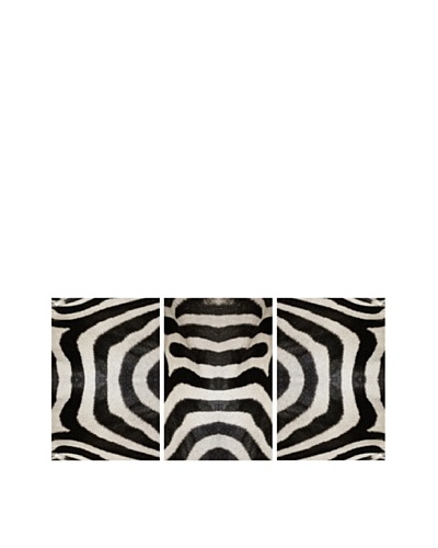 Art Addiction Set of 3 Zebra Stripes