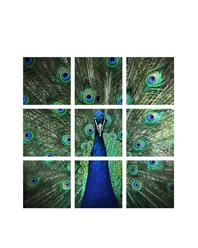 Art Addiction Acrylic Printed Peacock, Polyptych