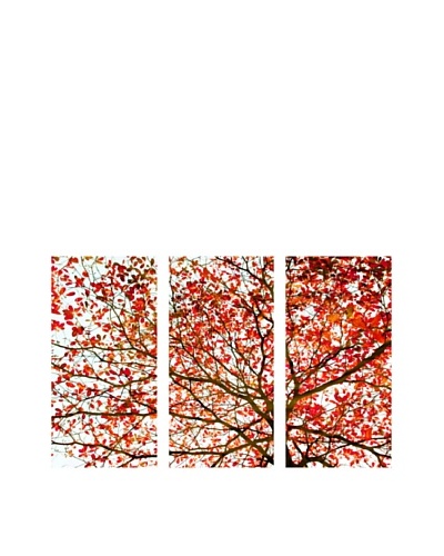 Art Addiction Set of 3 Autumn Foliage II 36 x 18 Acrylic Panels