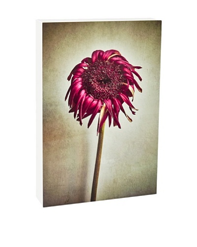 Art Block Hot Floral - Fine Art Photography On Lacquered Wood Blocks