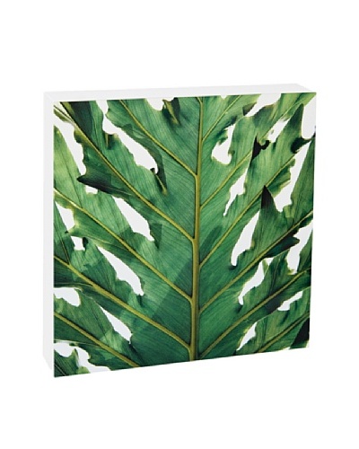 Art Block Green Leaf - Fine Art Photography On Lacquered Wood Blocks