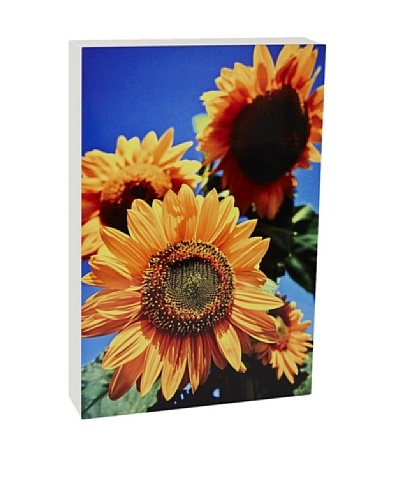 Art Block Sunflowers Fine Art Photography on Metal