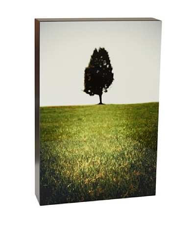 Art Block Lone Tree - Fine Art Photography On Lacquered Wood Blocks