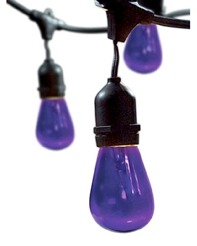 Bulbrite Celebrate Ceramic 15-Light Indoor/Outdoor String, Purple