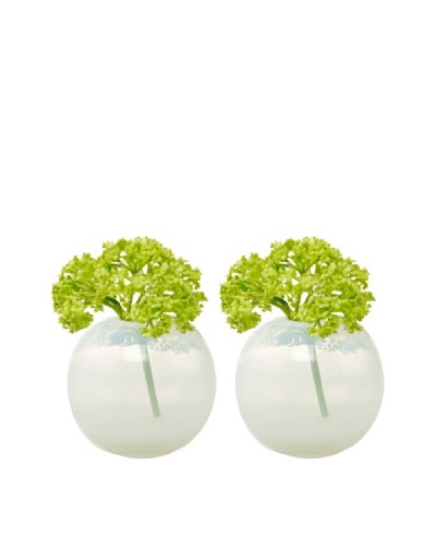 Chive Set of 2 Pearl Sphere Vases